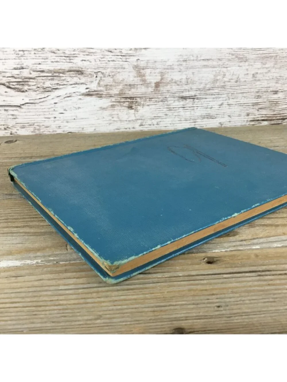 Vintage 1957 A Dog for Davie’s Hill by Clare Bice – Blue Hardcover